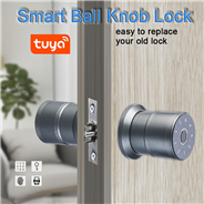 WF-Q2 Tuya Smart Lock Fingerprint Door Lock for Ball Knob Door Lock Replace Lever Lock for your Door
