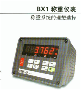 BX1称重仪表