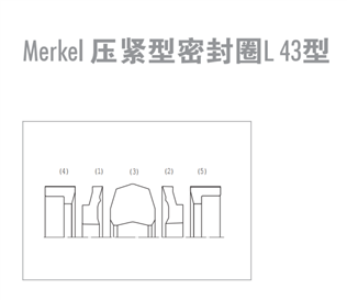 L43  迈克组合密封