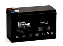 Lead Crystal铅晶电池6-CNFJ-7.2