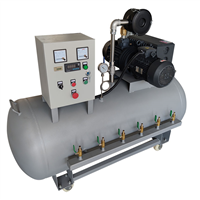 AIFUCAI真空泵系统100立方/h单级选片式