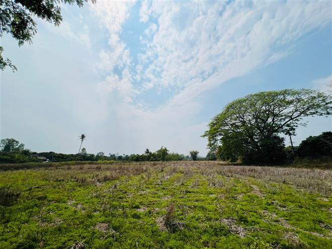 S1857  沙拉披待售土地，两面临路