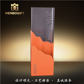 WB-171156新人進取獎杯，本年度最佳銷售獎杯，紀念性獎杯，深圳市文博工藝制品有限公司定制