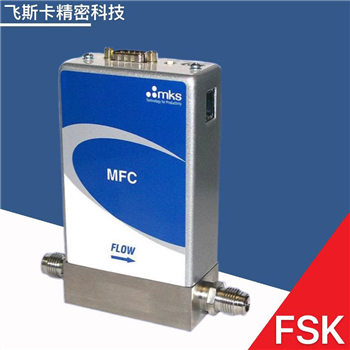 MKS GE50A流量計 金屬密封