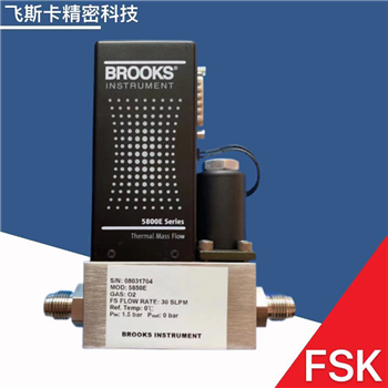 BROOKS5850E流量计流量控制器