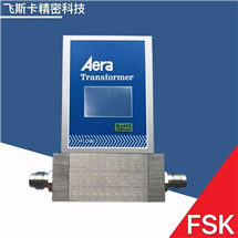 Aera FC-R7820CD质量流量控制器