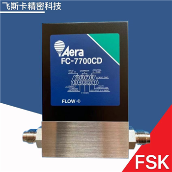 Aera FC-R7700CD质量流量控制器