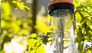 自动灌溉机--为客户提供量身定制的全程机械化整体解决方案