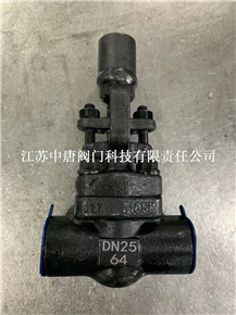 FDZ61H-64C高压带锁焊接闸阀