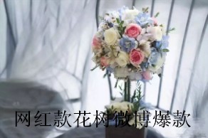 网红款花树微博爆款