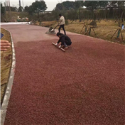 湘潭公園透水地面施工