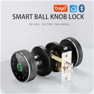 WAFU WF-Q3 Tuya Smart Keyless Entry Ball Knob Door Lock Biometric Fingerprint Door Lock Round