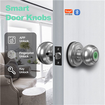 WAFU WF-Q4 Sliver Tuya Smart Fingerprint Door Knob Biometric Smart Knob Door for Apartment Airbnb Be