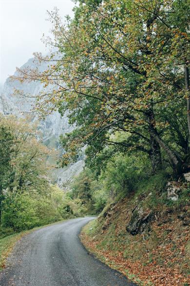 道路上的风景线