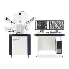 蔡司場發射掃描電鏡顯微鏡Sigma 500半自動高分辨率成像