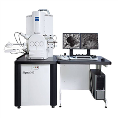蔡司掃描電鏡Sigma300電子掃描顯微鏡