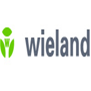 Wieland威琅电气  安全门锁开关 料号R1.310.1120.0