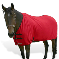 Horse304 Horse Blanket