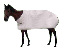 horse305 Horse Blanket
