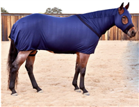 horse306 Horse Blanket