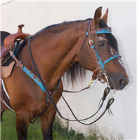 Horse603  Headstall Breast Collar Reins Curb Strap