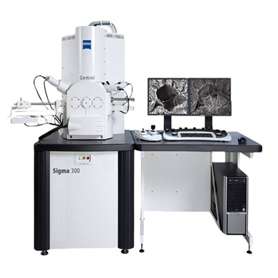 蔡司扫描电镜 SIGMA300场发射扫描电镜
