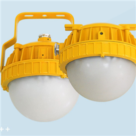 Ceiling support light