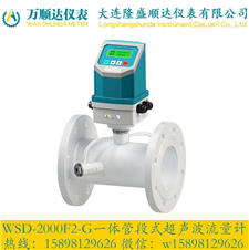 WSD-2000F2-G一体管段式超声波流量计