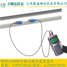 WSD-2000H手持式超声波流量计