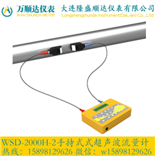 WSD-2000H-2手持式超声波流量计