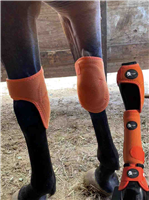 HORSE221 Horse knee boots