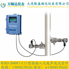WSD-2000F1-C11壁挂插入式超声波流量计