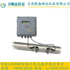 WSD-2000D防爆外夹式超声波流量计