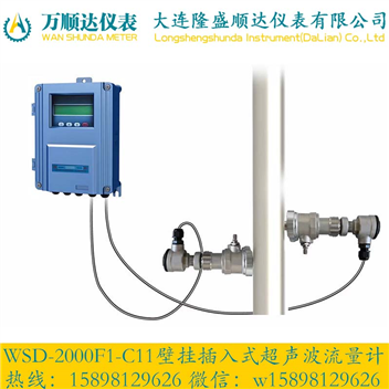 WSD-2000F1-C11壁掛插入式超聲波流量計(jì)