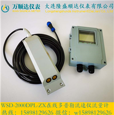 WSD-2000DPL-ZX在线多普勒流速仪流量计