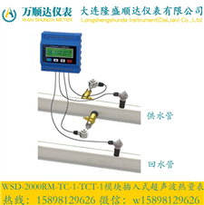 WSD-2000RM-TC-1-TCT-1模块插入式超声波热量表