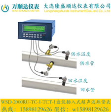 WSD-2000RU-TC-1-TCT-1盘装插入式超声波热量表
