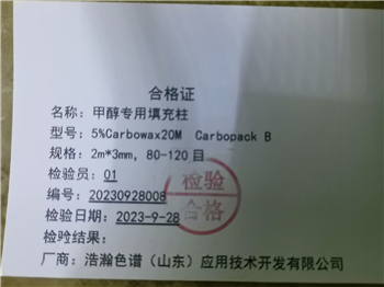 5%Carbowax20M  Carbopack B,80-120目填充柱