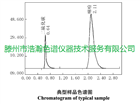 环境空气中5种有机硫化物XY-Sulfur填充柱GB/T 14678-93