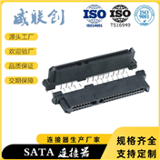 180度直插SATA连接器 双排7+15PI SATA公头 电脑排线连接器