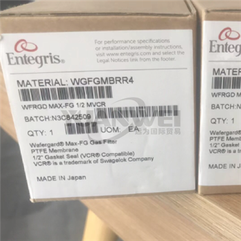 美国 Entegris 应特格 过滤器 WGFGMBRR4 全新