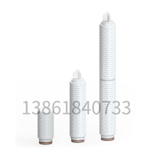 Pharmsteri™ PTFE 滤筒过滤器