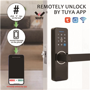 WAFU WF-F1S Small Design Tuya Smart Fingerprint Door Lock WIFI Phone Remotely Unlock Keyless Entry D