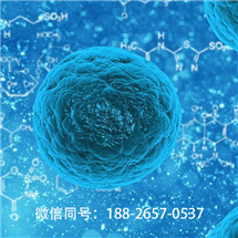 廣西靠譜的msc干細胞費用低