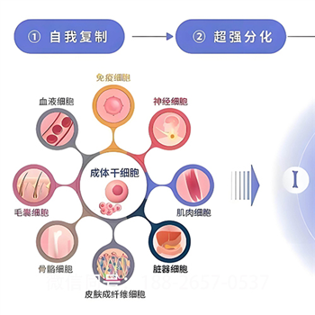 东方放心的msc干细胞收费低