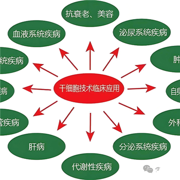 百色口碑好的干細胞多少錢一針型號