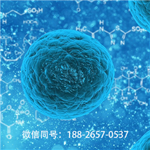 聊城正規(guī)的msc干細胞費用多少