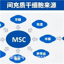 甘肅放心的間充質干細胞**臍帶費用多少