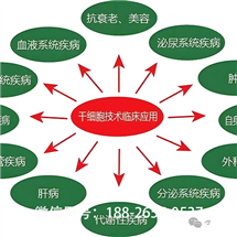 內(nèi)蒙古靠譜的msc干細(xì)胞收費情況