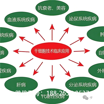 内蒙古靠谱的msc干细胞收费情况